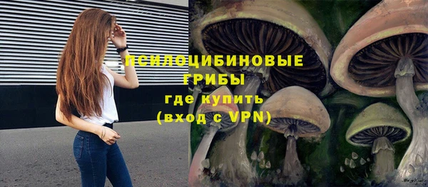 гидропоника Абаза