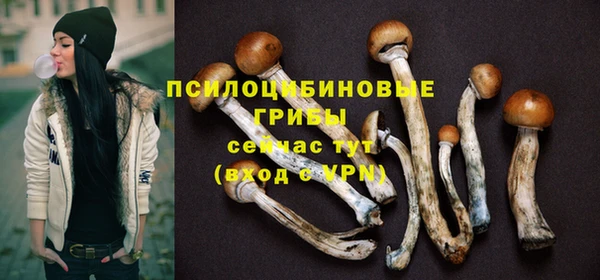 гидропоника Абаза
