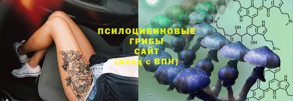 гидропоника Абаза