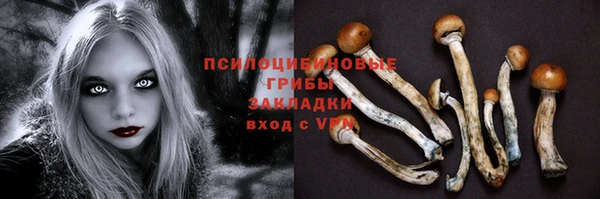 бошки Абдулино